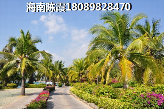 儋州商铺还会生纸吗？