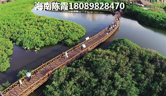 郁金香郡生活