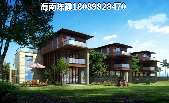 郁金香郡好不好