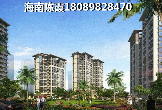 郁金香郡交房时间