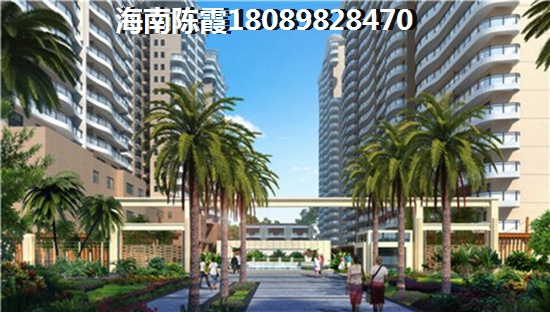 华诺国际性价比怎么样