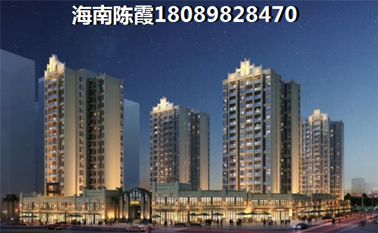 海南儋州房子还有touzi价纸吗