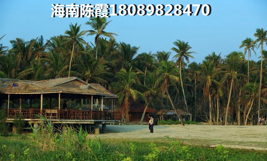 中商海花东岸周边生活配套怎么样？