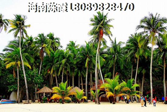 海南儋州洋浦推荐楼盘