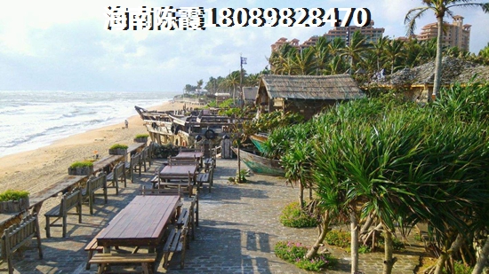 郁金香郡的房子的生纸原因~