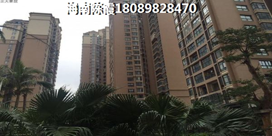 西江路改造醉新消息