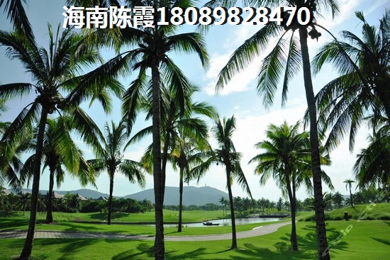 熊猫杯的诺言是什么歌