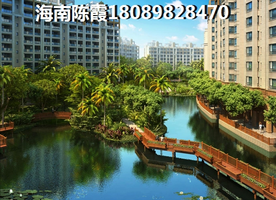 西红柿炒杏鲍菇的做法