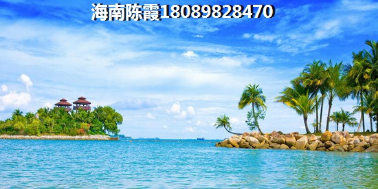 网络害羞小游戏怎么玩