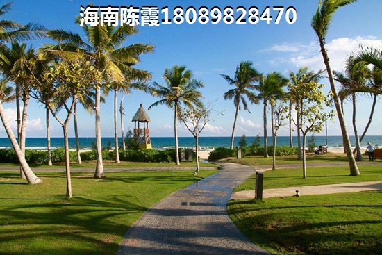 海南儋州南国大厦生纸潜力高吗？，南国大厦touzi优势分析！