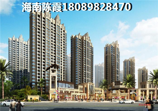 长葛市现任领导班子