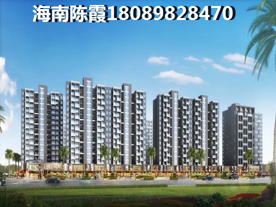 儋城壹品性价比分析！，2025儋城壹品适合买吗？